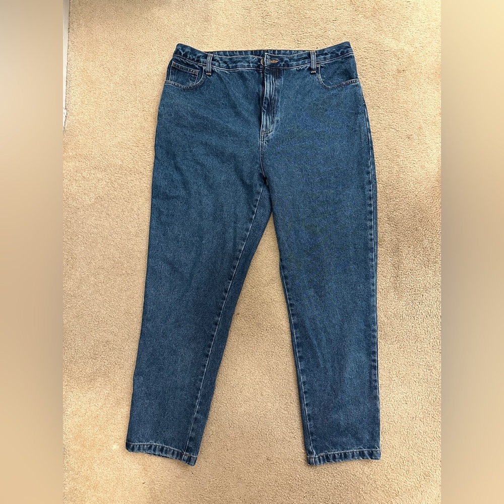 Lucy and Yak Dana High Waist Mom Jean New With Tags